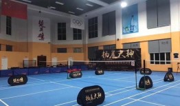 杨晨大神爆料天佑最新动态,杨晨大神独家爆料揭秘